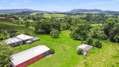 Farm Sold - QLD - Utchee Creek - 4871 - Country Living - 5 Bay Shed - Stables - Pool - Close to Town  (Image 2)
