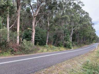 Farm Sold - TAS - Nicholls Rivulet - 7112 - Beautiful bush block ready for your first home or hideaway.  (Image 2)