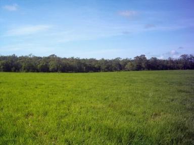 Farm Sold - QLD - Cooktown - 4895 - Endeavour Valley  (Image 2)