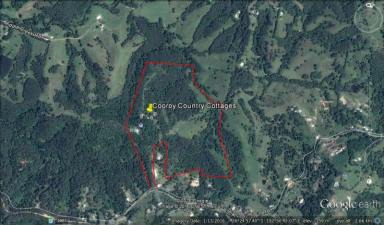 Farm Sold - QLD - Black Mountain - 4563 - HOME ON PRIVATE MTN+3COTTAGE INCOME+97 NOOSA ACRES  (Image 2)
