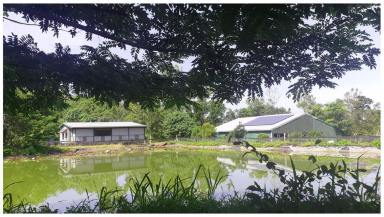 Farm Sold - QLD - Gregory River - 4800 - Peace and Privacy in Tropical North Queensland.  (Image 2)