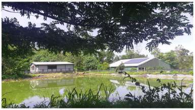 Farm Sold - QLD - Gregory River - 4800 - Peace and Privacy in Tropical North Queensland.  (Image 2)