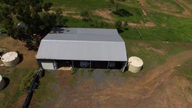 Farm Sold - QLD - Ridgelands - 4702 - Lovely Rural Block with good house and big shed  (Image 2)