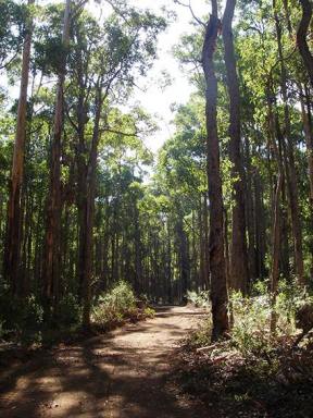Farm Sold - WA - Quinninup - 6258 - Lifestyle Property for Sale in WA's Southern Forests  (Image 2)