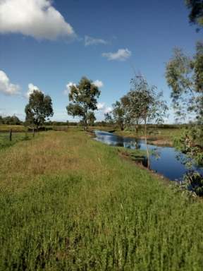 Farm For Sale - WA - Keysbrook - 6126 - Rural Lifestyle/Horse Property  (Image 2)