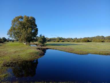 Farm For Sale - WA - Keysbrook - 6126 - Rural Lifestyle/Horse Property  (Image 2)