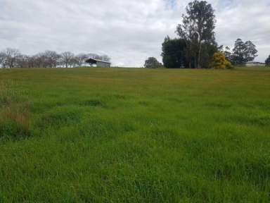 Farm Sold - WA - Bridgetown - 6255 - Premium Bridgetown Life style Block In No Better Location...Need To See  (Image 2)