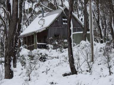 Farm Sold - TAS - Moina - 7310 - Cradle Mountain Love Shack For Sale!  (Image 2)