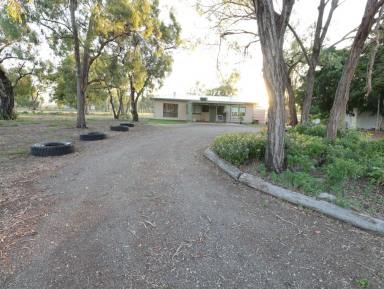 Farm Sold - QLD - Bouldercombe - 4702 - Perfect entry-level opportunity for first-home buyers or investors - ready to move in!  (Image 2)