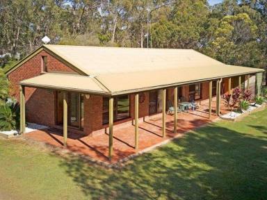 Farm Sold - QLD - Sunshine Acres - 4655 - 11.78 Acres with Dual Living and Plenty of room to unwind  (Image 2)