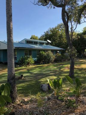 Farm Sold - QLD - Cooktown - 4895 - Secluded Quiet and Peaceful 20 Acres  (Image 2)