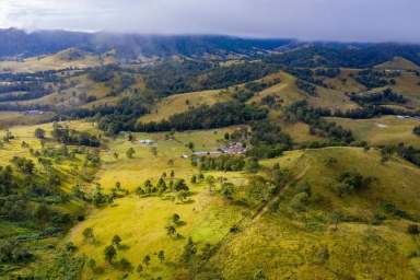 Farm Sold - NSW - Bakers Creek - 2422 - LIFESTYLE CHANGE - 250 acre homestead with optional holiday accomodation near Gloucester  (Image 2)