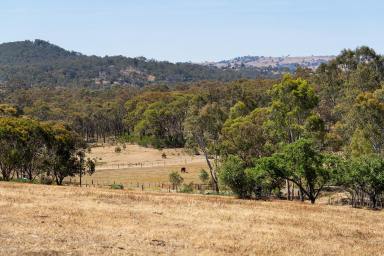 Farm Sold - VIC - Barkers Creek - 3451 - Under Contract  (Image 2)