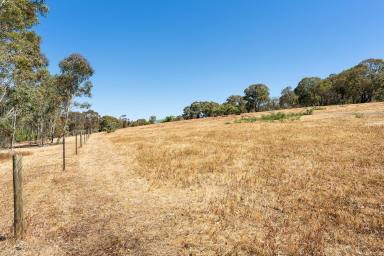 Farm Sold - VIC - Barkers Creek - 3451 - Under Contract  (Image 2)