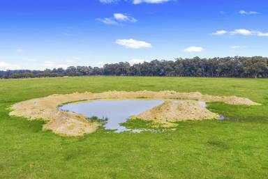 Farm Sold - VIC - Stratford - 3862 - 100 ACRE LIFESTYLE PROPERTY  (Image 2)