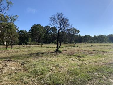 Farm Sold - NSW - Bargo - 2574 - 45 ACRES IN TOWN!!!!  (Image 2)