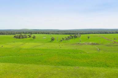 Farm Sold - VIC - Heywood - 3304 - Large Scale Dairy, High Rainfall & Irrigation  (Image 2)