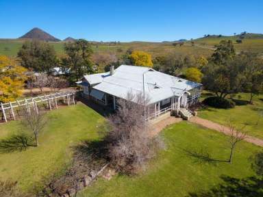 Farm Sold - NSW - Mullaley - 2379 - Mount Nombi, Nombi via Mullaley  (Image 2)