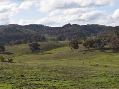 Farm Sold - NSW - Yass - 2582 - Ibis Hills  (Image 2)