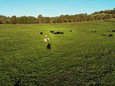 Farm Sold - NSW - Yass - 2582 - HARD TO FIND!!!  (Image 2)