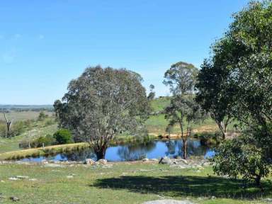 Farm Sold - NSW - Yass - 2582 - 273 Yass River Road, Yass NSW  (Image 2)