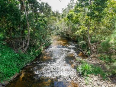 Farm For Sale - QLD - Koah - 4881 - LIFESTYLE FARMING WITH RIVER FRONTAGE  (Image 2)