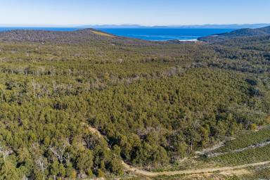 Farm Sold - TAS - Nubeena - 7184 - Seclusion, plenty of fresh air and all nearby popular Roaring Beach  (Image 2)