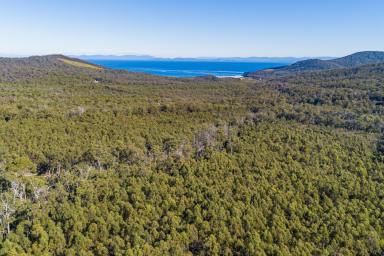 Farm Sold - TAS - Nubeena - 7184 - Seclusion, plenty of fresh air and all nearby popular Roaring Beach  (Image 2)
