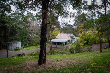 Farm Sold - NSW - Colo Heights - 2756 - A Tranquil Setting  (Image 2)