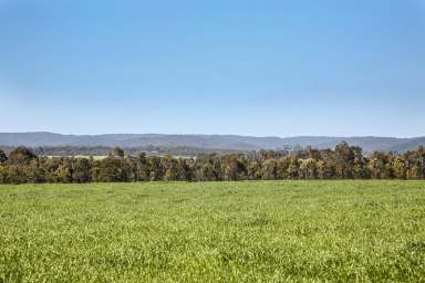 Farm Sold - VIC - Deans Marsh - 3235 - Attractive Murroon – Deans Marsh Land  (Image 2)