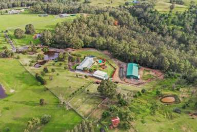 Farm Sold - NSW - Razorback - 2571 - IDYLLIC SEMI RURAL ESCAPE   (Image 2)