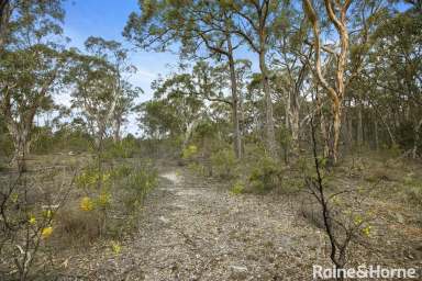 Farm Sold - NSW - Tallong - 2579 - Fuel your dreams  (Image 2)