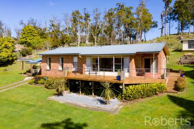 Farm Sold - TAS - Sidmouth - 7270 - Views and lifestyle  (Image 2)