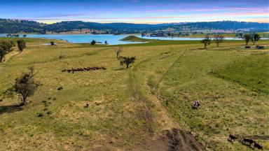 Farm Sold - NSW - Quirindi - 2343 - IDEAL LIVERPOOL PLAINS LAKESIDE FARMING & BREEDING  (Image 2)