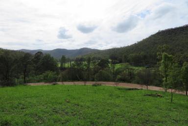 Farm Sold - NSW - Upper Macdonald - 2775 - 40 ACRES WITH MACDONALD RIVER FRONTAGE & ENDLESS VALLEY VIEWS.  (Image 2)