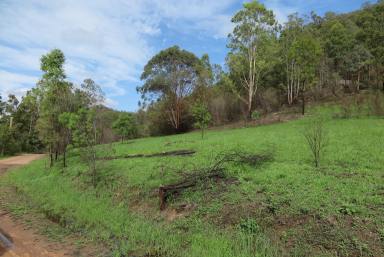Farm Sold - NSW - Upper Macdonald - 2775 - 40 ACRES WITH MACDONALD RIVER FRONTAGE & ENDLESS VALLEY VIEWS.  (Image 2)