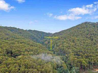 Farm Sold - TAS - Gunns Plains - 7315 - Privacy on the your own mountain!  (Image 2)