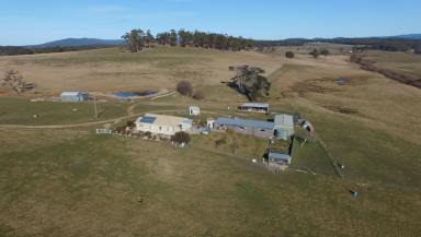 Farm Sold - TAS - St Helens - 7216 - RARE OPPORTUNITY FOR FARMING OR LIFESTYLE! 128 ACRES GEORGE RIVER FRONTAGE, MINUTES FROM BAY OF FIRES, AND ST HELENS  (Image 2)