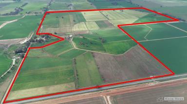 Farm Sold - VIC - Yalca - 3637 - Large portfolio of land in Yalca/Katunga district  (Image 2)