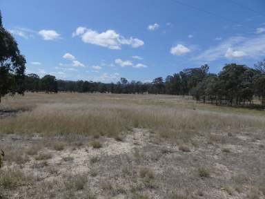 Farm Sold - QLD - Dalveen - 4374 - Rare rural house  / weekender site  (Image 2)