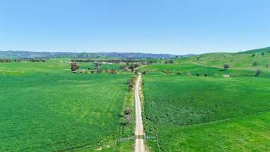 Farm Sold - NSW - Mudgee - 2850 - Wing Vee - A large scale livestock opportunity - Suitable for Prime Lambs, Wool Production, Cattle & Goats  (Image 2)