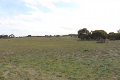 Farm Sold - SA - Lameroo - 5302 - FOR SALE "BENBULLEN" 1796 Lameroo South Road  LAMEROO SA  2,562 HA $2.5 M  (Image 2)