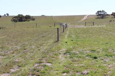 Farm Sold - SA - Lameroo - 5302 - FOR SALE "BENBULLEN" 1796 Lameroo South Road  LAMEROO SA  2,562 HA $2.5 M  (Image 2)