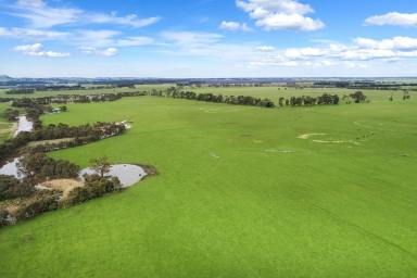 Farm Sold - VIC - Dixie - 3265 - ATTRACTIVE QUALITY TERANG DISTRICT COUNTRY  (Image 2)