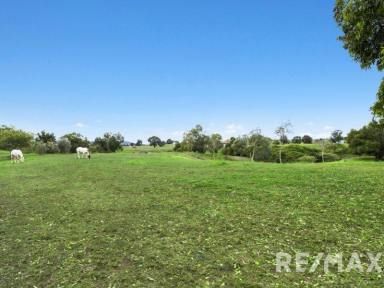 Farm Sold - QLD - Veresdale Scrub - 4285 - Soulful Home + Granny Flat on 6.4 Acres  (Image 2)