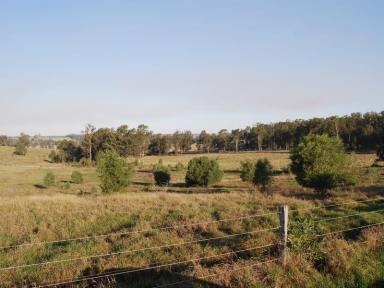Farm Sold - QLD - Grahams Creek - 4650 - Country lifestyle!  (Image 2)