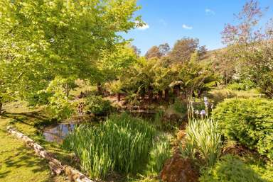 Farm Sold - TAS - Lorinna - 7306 - Forget the cities, live a self sufficient lifestyle  (Image 2)