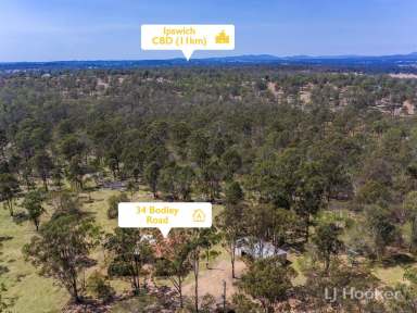 Farm Sold - QLD - Karrabin - 4306 - WELCOME TO GUM TREE RISE  (Image 2)