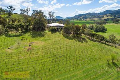 Farm Sold - NSW - Mudgee - 2850 - MARTINS HILL ON THE CUDGEGONG  (Image 2)
