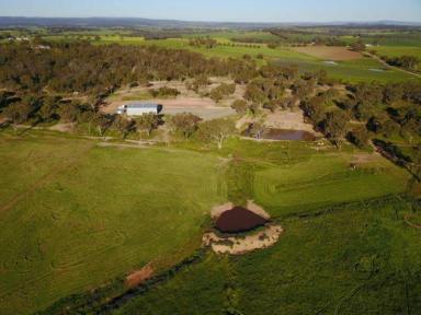 Farm Sold - NSW - Grenfell - 2810 - 26 Acres Close to Grenfell (under offer)  (Image 2)
